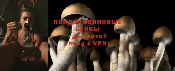 синтетический гашиш Гусиноозёрск