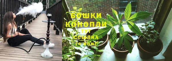 спиды Магадан