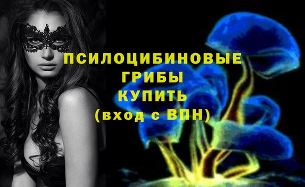 каннабис Гусев