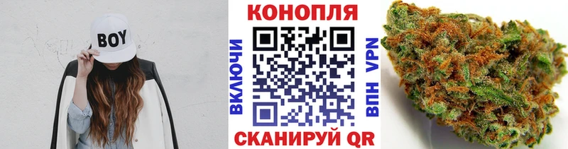 Шишки марихуана AK-47 Новосокольники